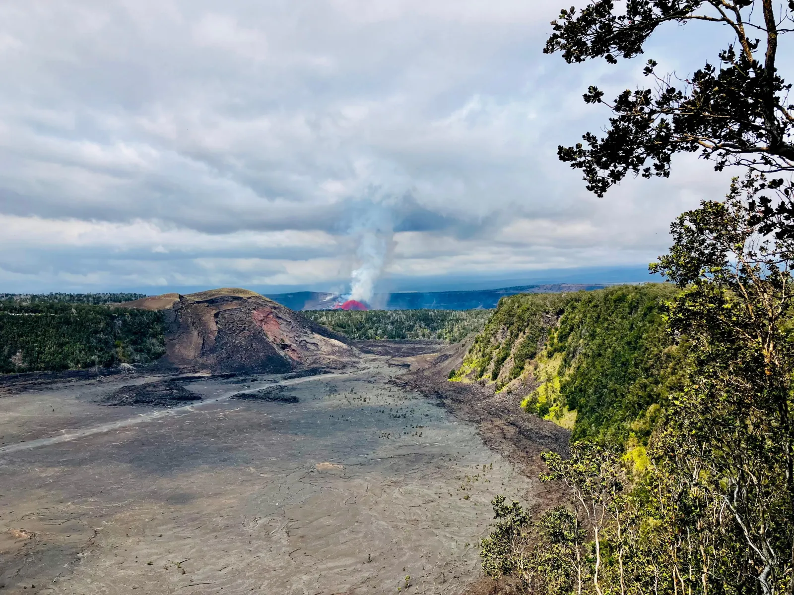 Grey crater floor and a cinder cone below a forested cliff, with a lava fountain and plume in the distance