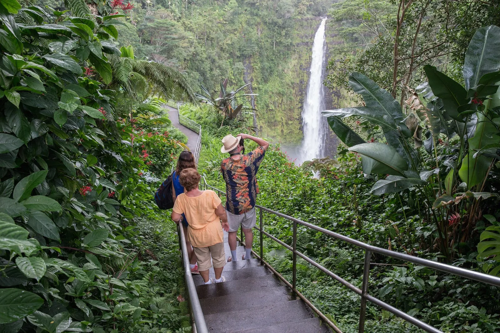 Guests descending a railed stairway toward a tall waterfall in dense rainforest