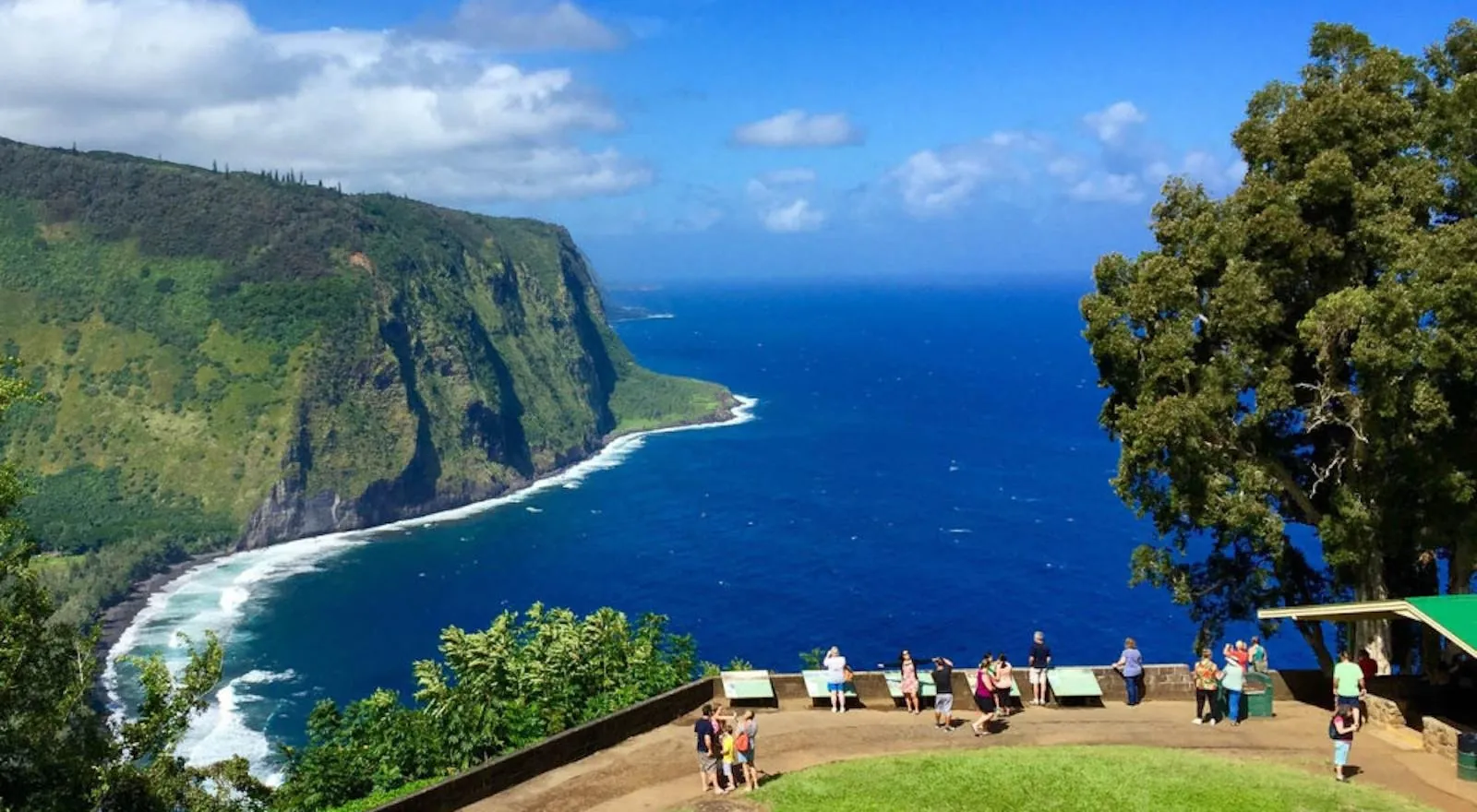 Visitors at the Waipiʻo Valley lookout above green sea cliffs and blue ocean