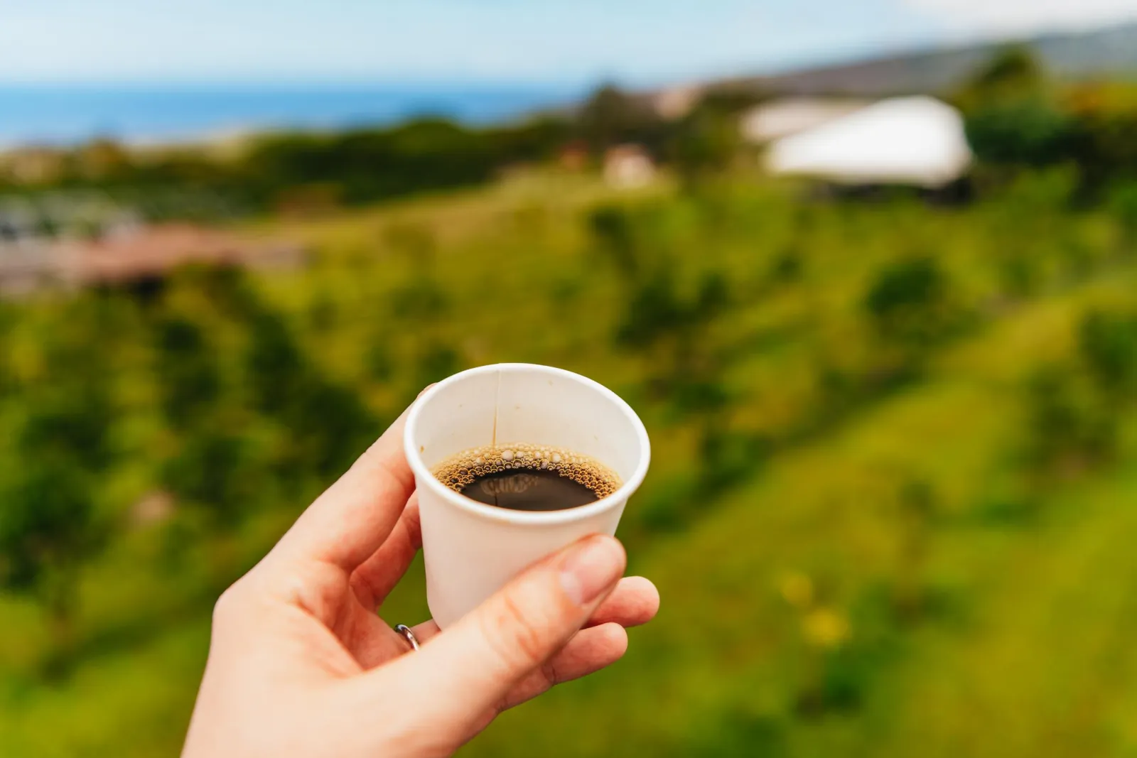 A hand holds a small paper cup of black coffee above a green hillside of coffee trees