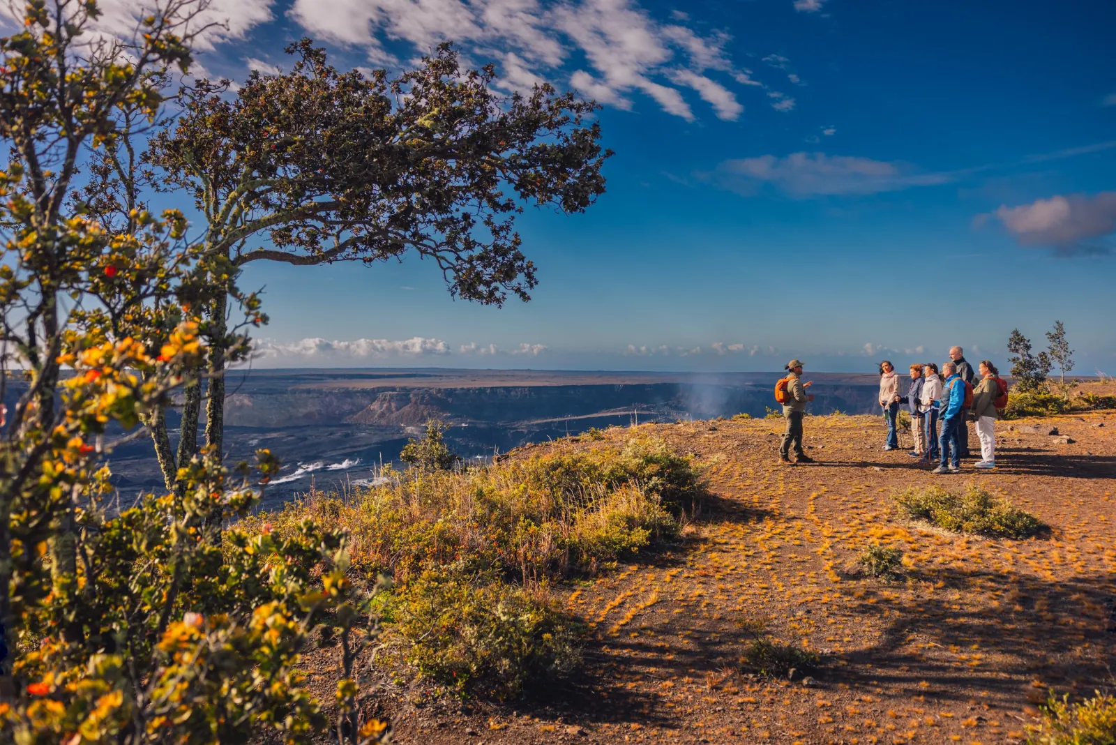 A guide with a backpack talks to six guests on a caldera rim beside flowering trees