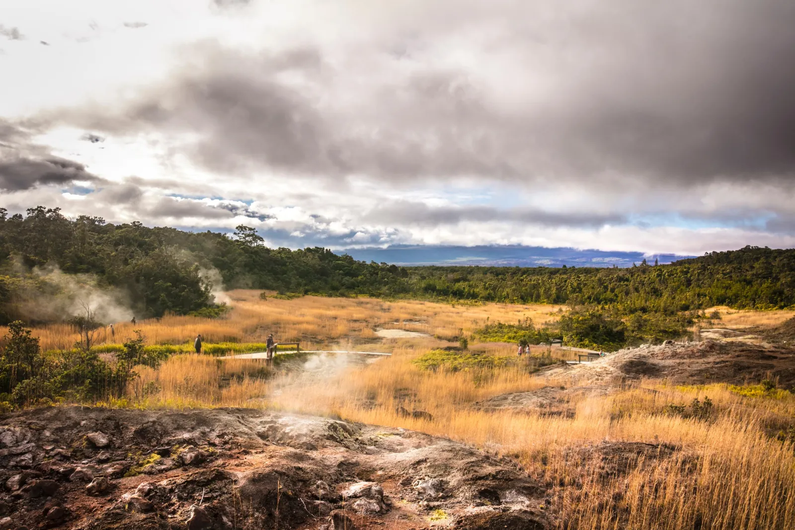 Visitors on a boardwalk crossing golden grassland dotted with steaming volcanic vents