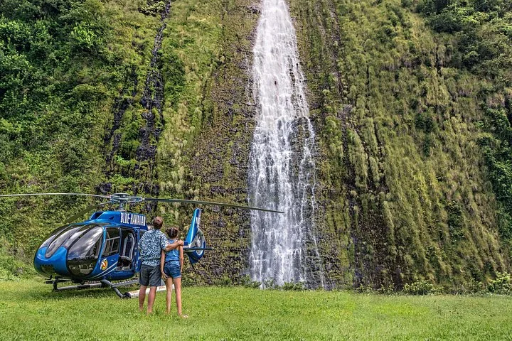Two passengers look up at a tall waterfall beside their landed helicopter on a lawn