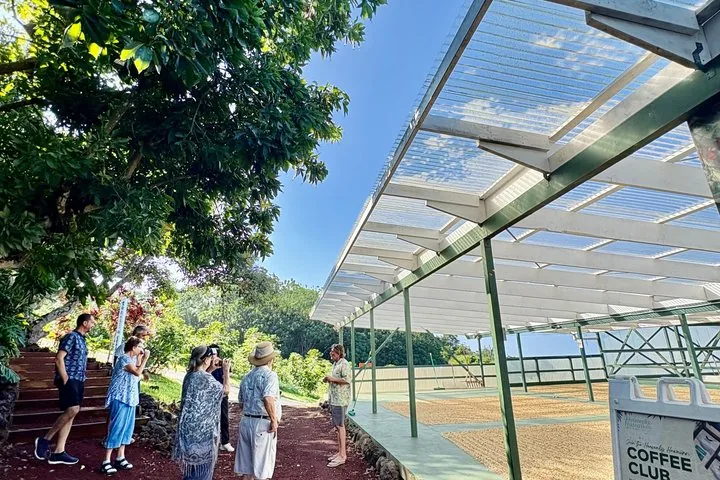Guests listening to a guide beside a covered coffee-drying deck at a farm
