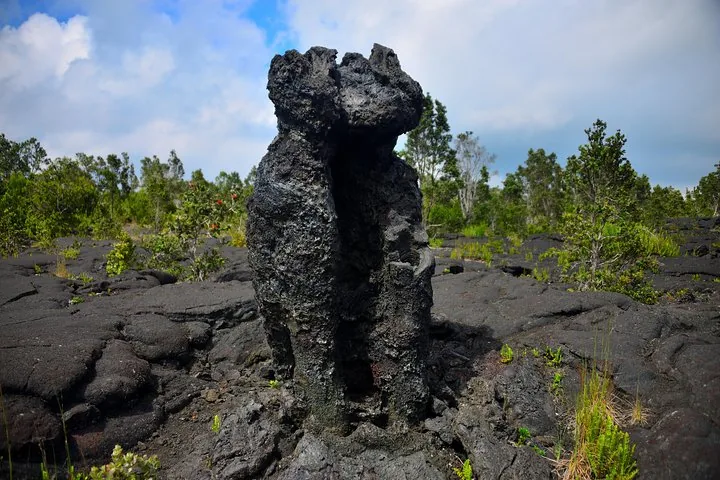Tall pillar of black lava rock standing among young trees on a lava field