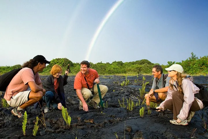 Guide and guests crouching among young ferns on black lava with a rainbow overhead