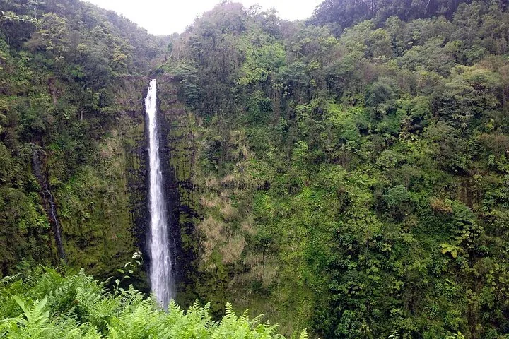 Tall slender waterfall dropping down a green rainforest gorge