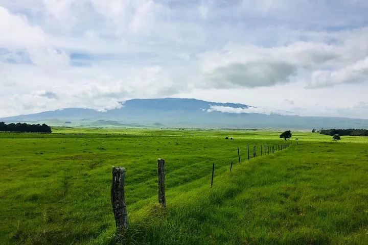 Green ranch pasture and a fence line below a broad cloud-capped mountain