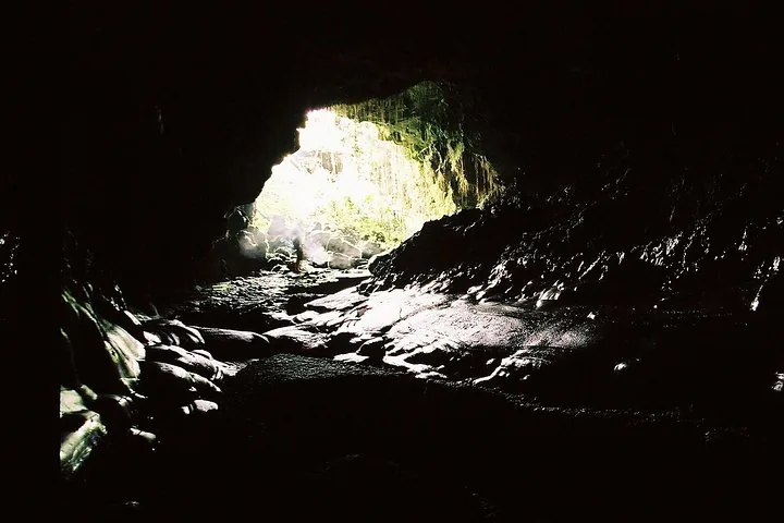 View from inside a dark lava tube toward its sunlit, fern-hung entrance