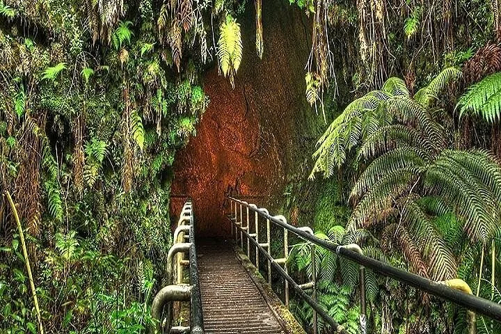 Railed walkway leading into a lava tube framed by tree ferns and hanging vines