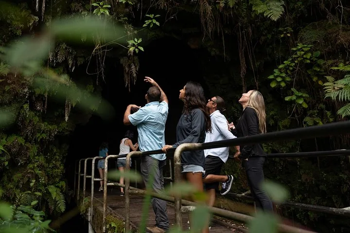 Guide pointing out ferns to guests on the railed walkway at a lava tube entrance