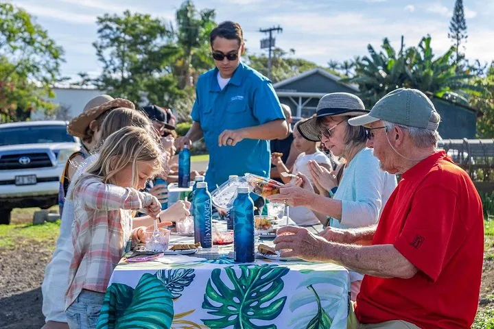 Guests sharing a picnic lunch at an outdoor table with a tropical-print cloth