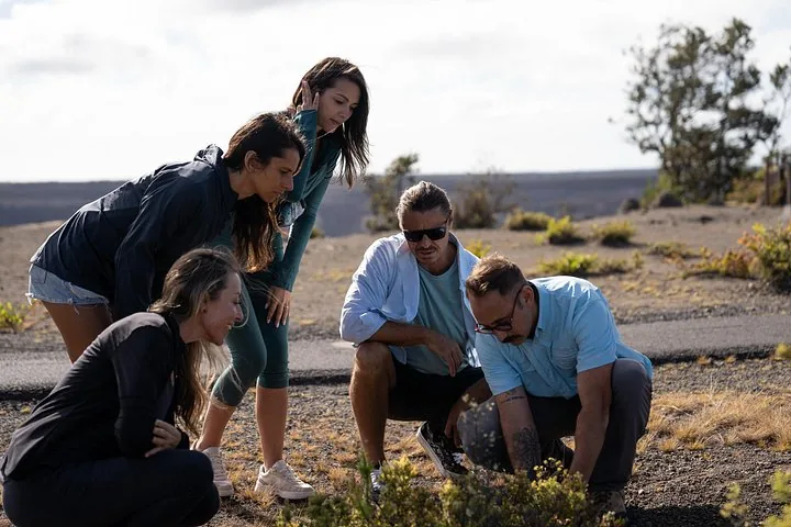 Guide and four guests crouching to look at plants on a dry volcanic plateau